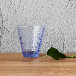 Dricksglas 30cl 2-pack<IITTALA