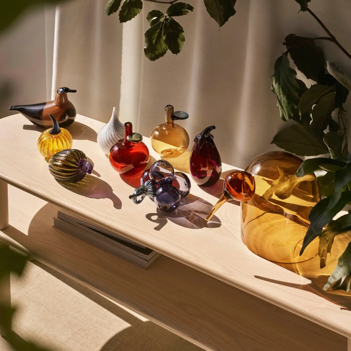 Druva regn<IITTALA Discount