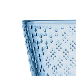 Glas 16cl 2st<IITTALA Hot