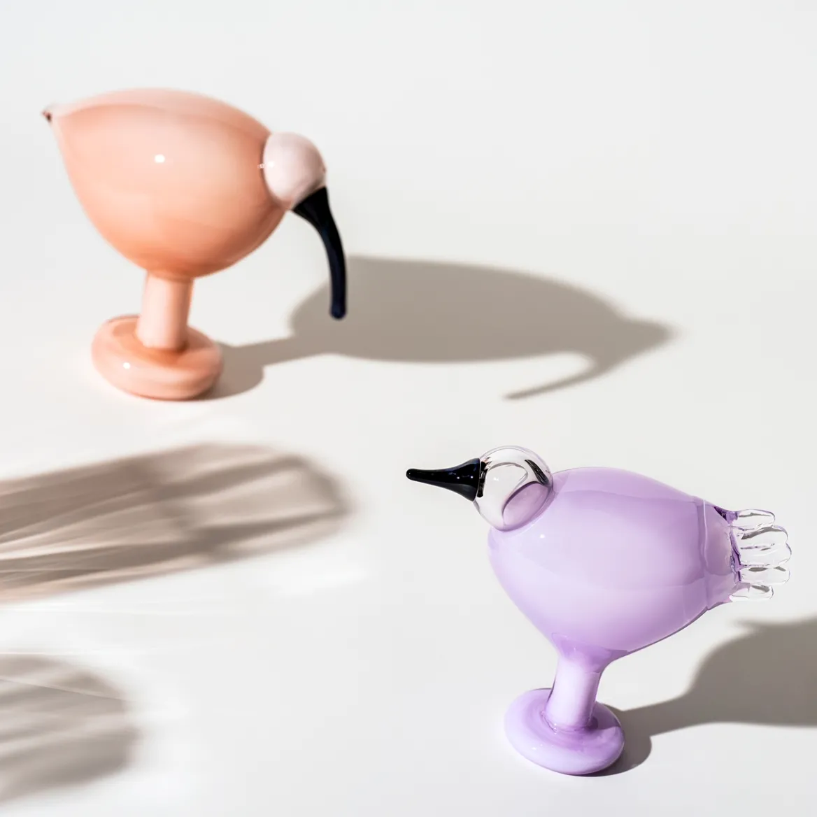 Ibis 205x165mm<IITTALA Discount