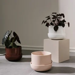 Kruka med fat S<IITTALA Best