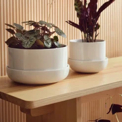 Kruka med fat M<IITTALA