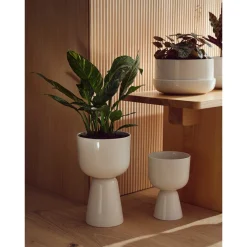 Kruka med fat M<IITTALA
