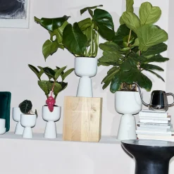Kruka 260x155mm<IITTALA Outlet