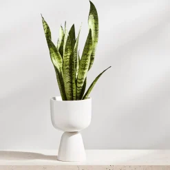 Kruka 230x155mm<IITTALA Outlet