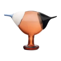 Kustskata 250x175mm pomerans<IITTALA Hot