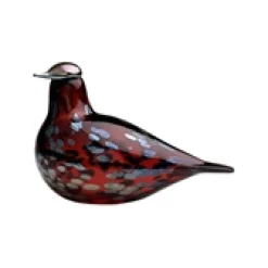 Ruby bird tranbär<IITTALA Online