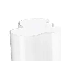 Vas 251mm<IITTALA Outlet